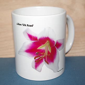 mug DS-102 6701.jpg